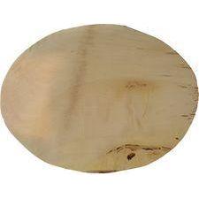 Sycamore Pyrography Blank *OVAL